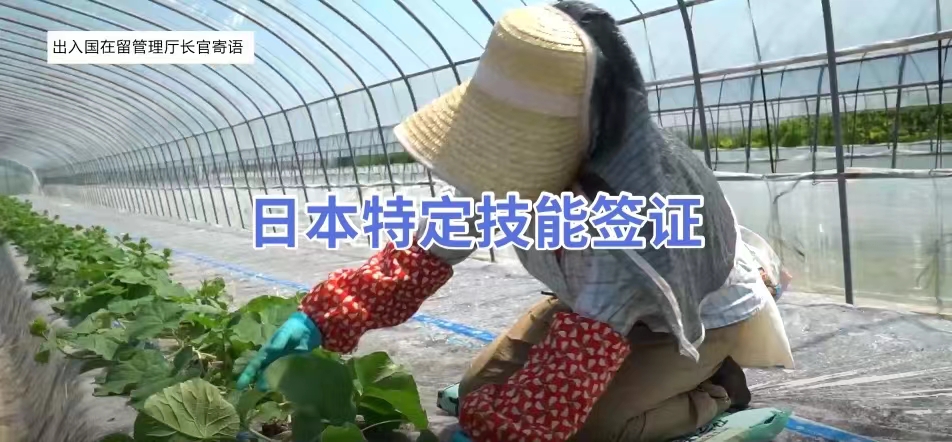 日本工作，日本就職，日本工作，日本特定技能簽證，日本簽證，日本，日本留學，東京，東京留學，